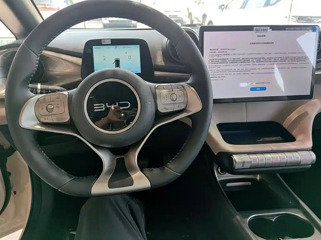 Dolphin 2025 420km Freedom Edition — миниатюра 10