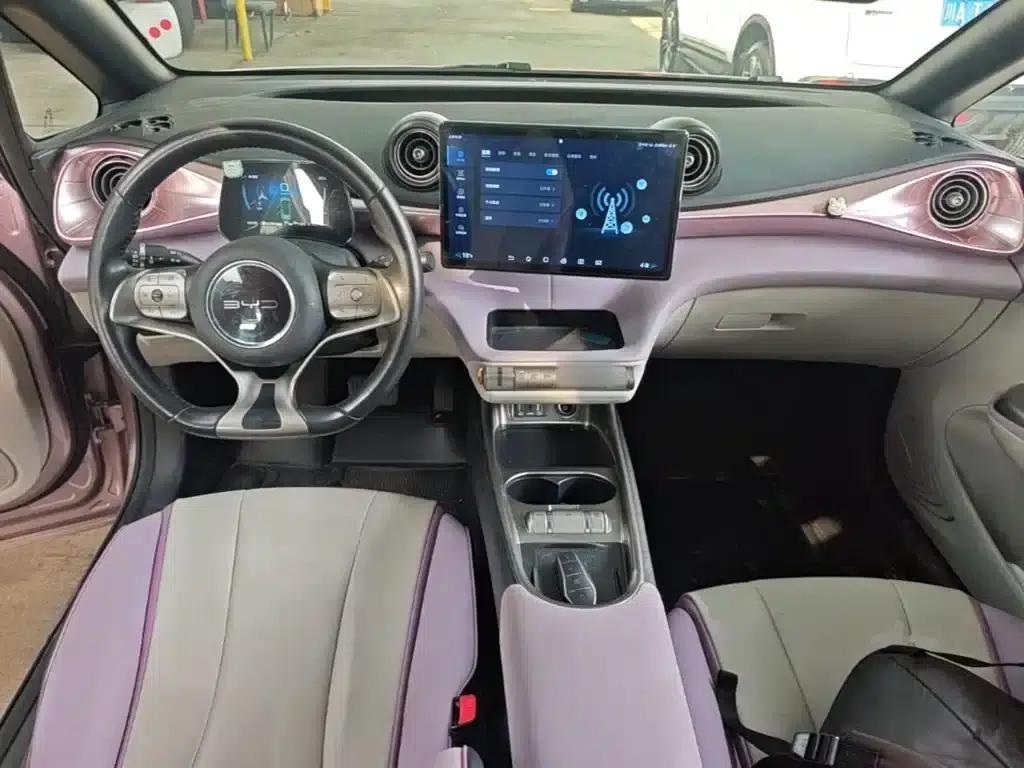 Dolphin 2021 405km Fashion Edition — миниатюра 10