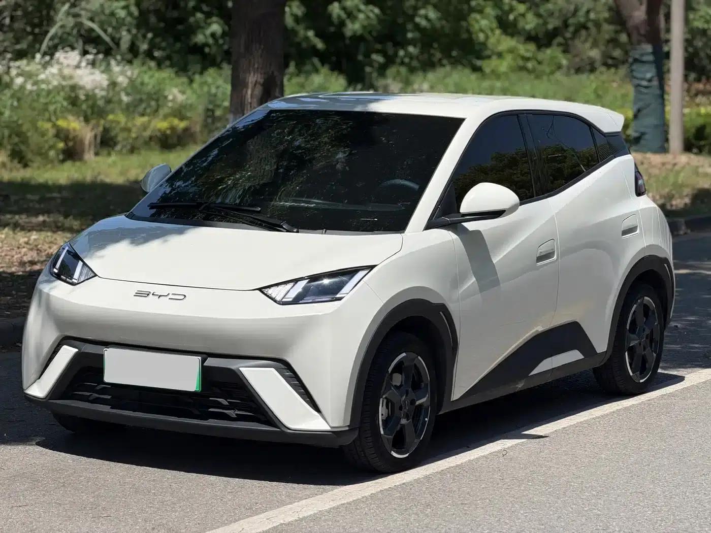 Seagull 2024 Glory Edition 305km Freedom Edition — миниатюра 1