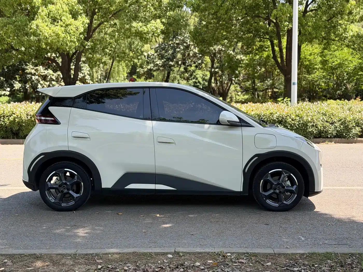 Seagull 2024 Glory Edition 305km Freedom Edition — миниатюра 2