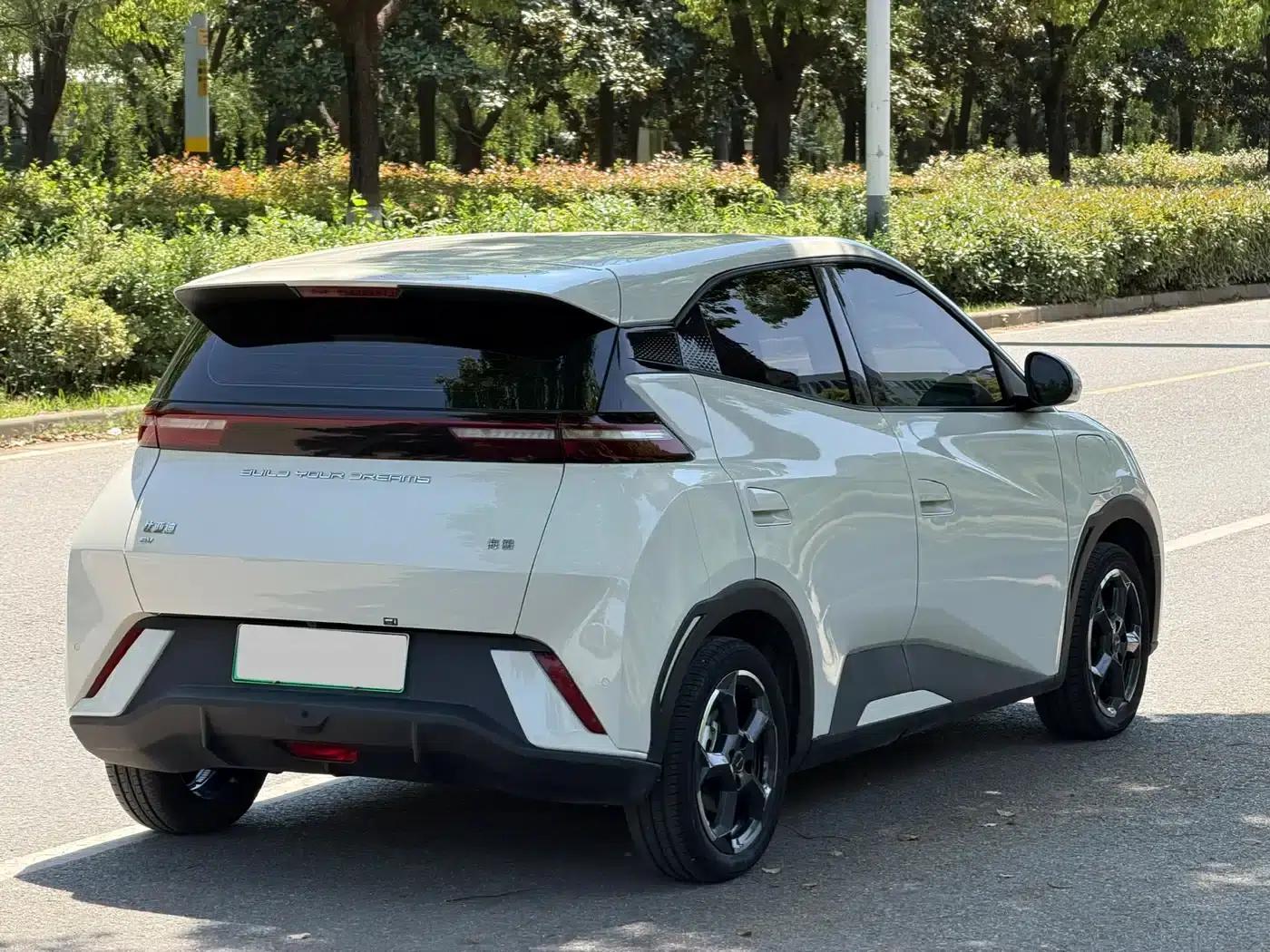 Seagull 2024 Glory Edition 305km Freedom Edition — миниатюра 3