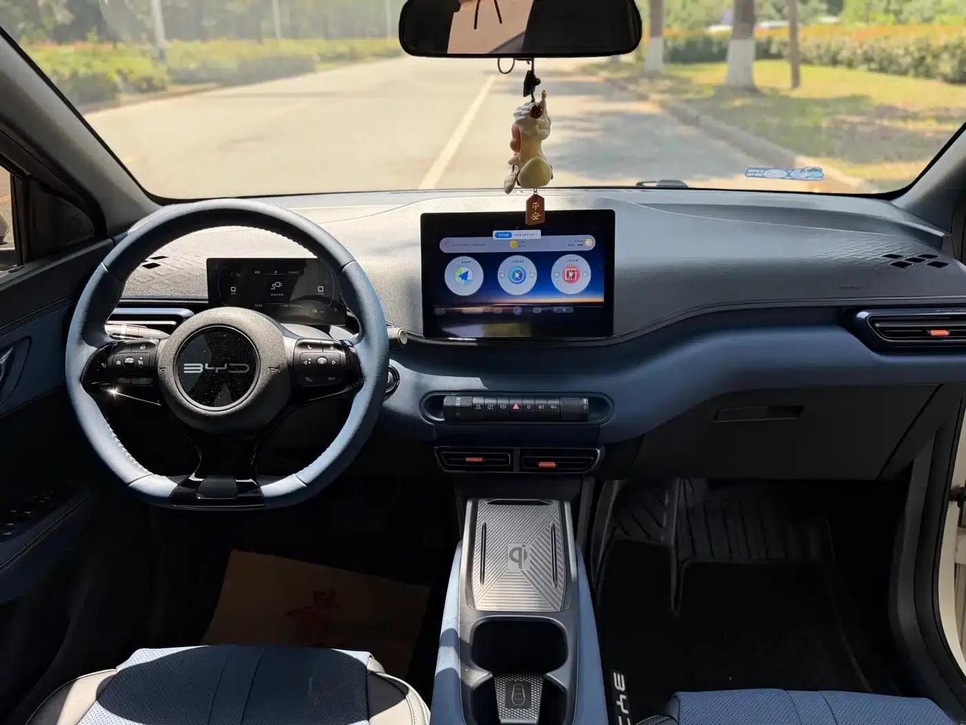 Seagull 2024 Glory Edition 305km Freedom Edition — миниатюра 4