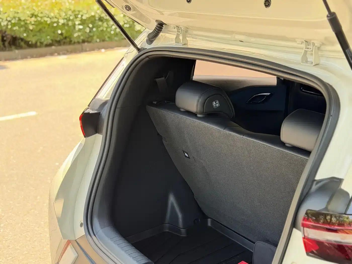 Seagull 2024 Glory Edition 305km Freedom Edition — миниатюра 5