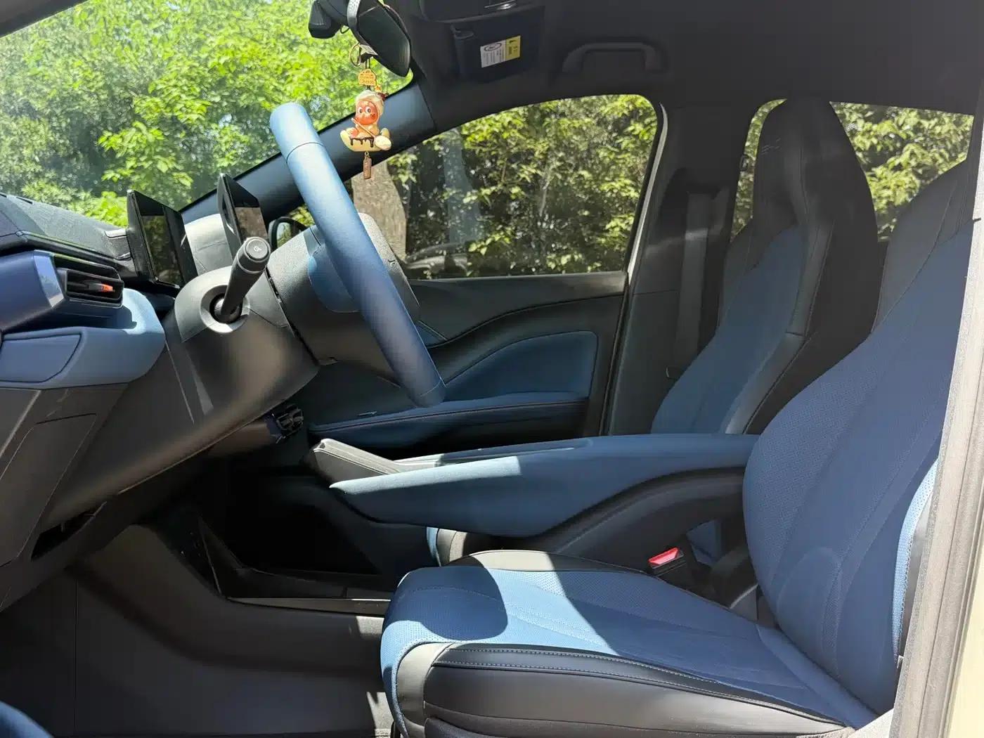 Seagull 2024 Glory Edition 305km Freedom Edition — миниатюра 9