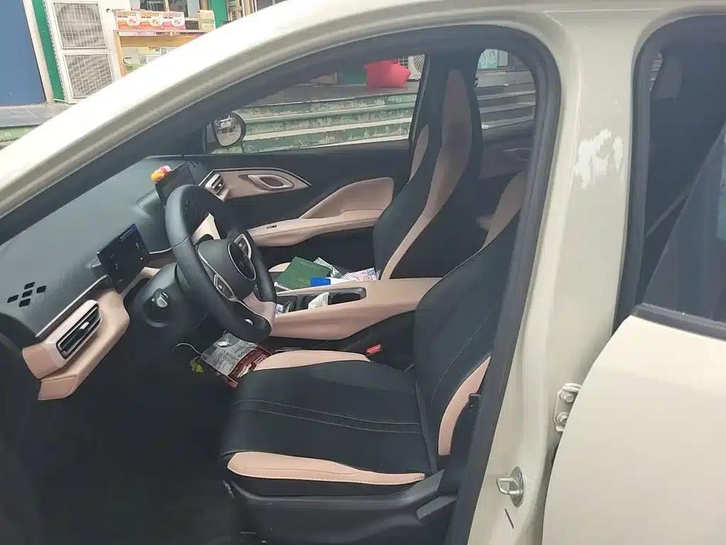 Seagull 2025 305km/h Dynamic Edition — миниатюра 11