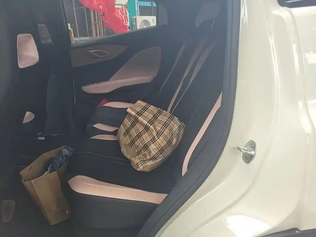 Seagull 2025 305km/h Dynamic Edition — миниатюра 13