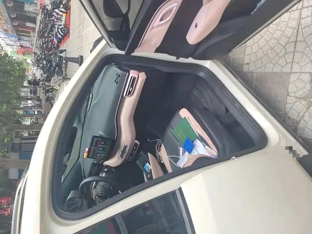 Seagull 2025 305km/h Dynamic Edition — миниатюра 21