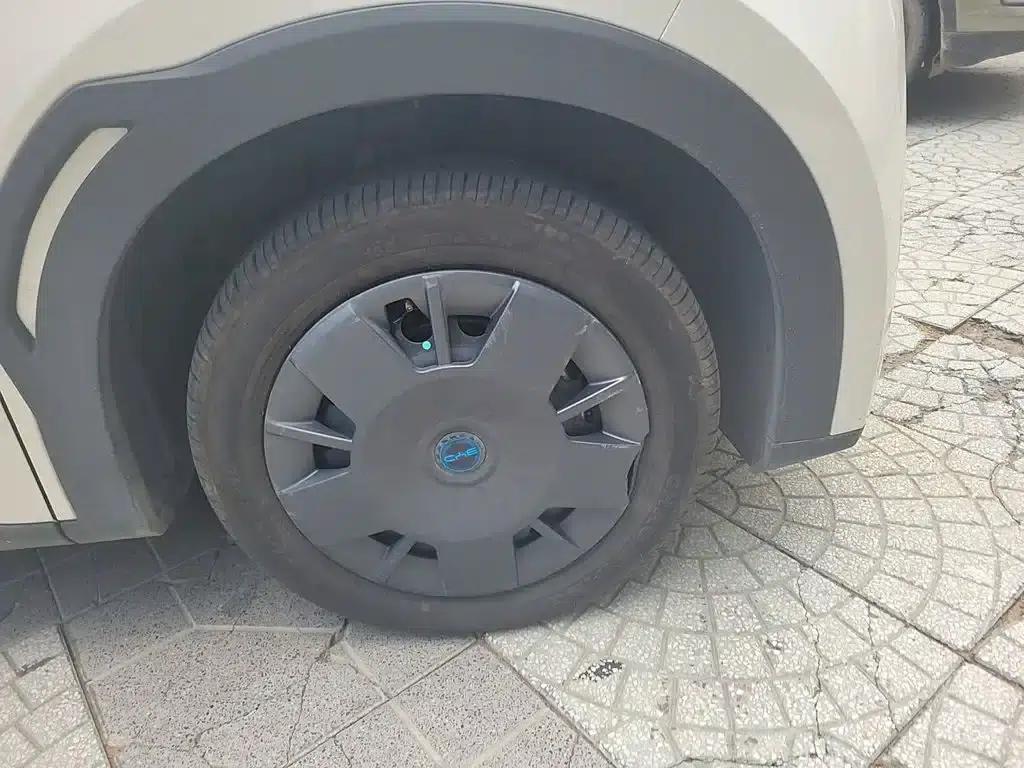 Seagull 2025 305km/h Dynamic Edition — миниатюра 26