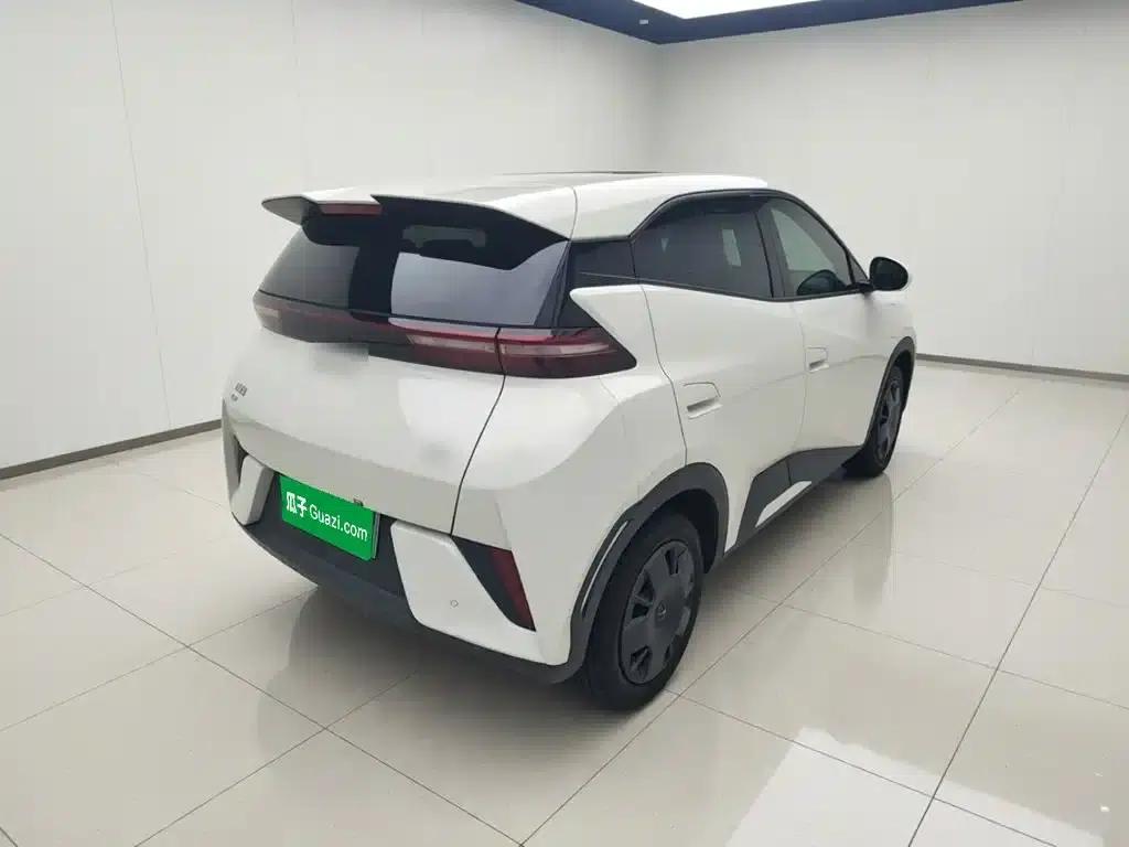 Seagull 2025 305km/h Dynamic Edition — миниатюра 4