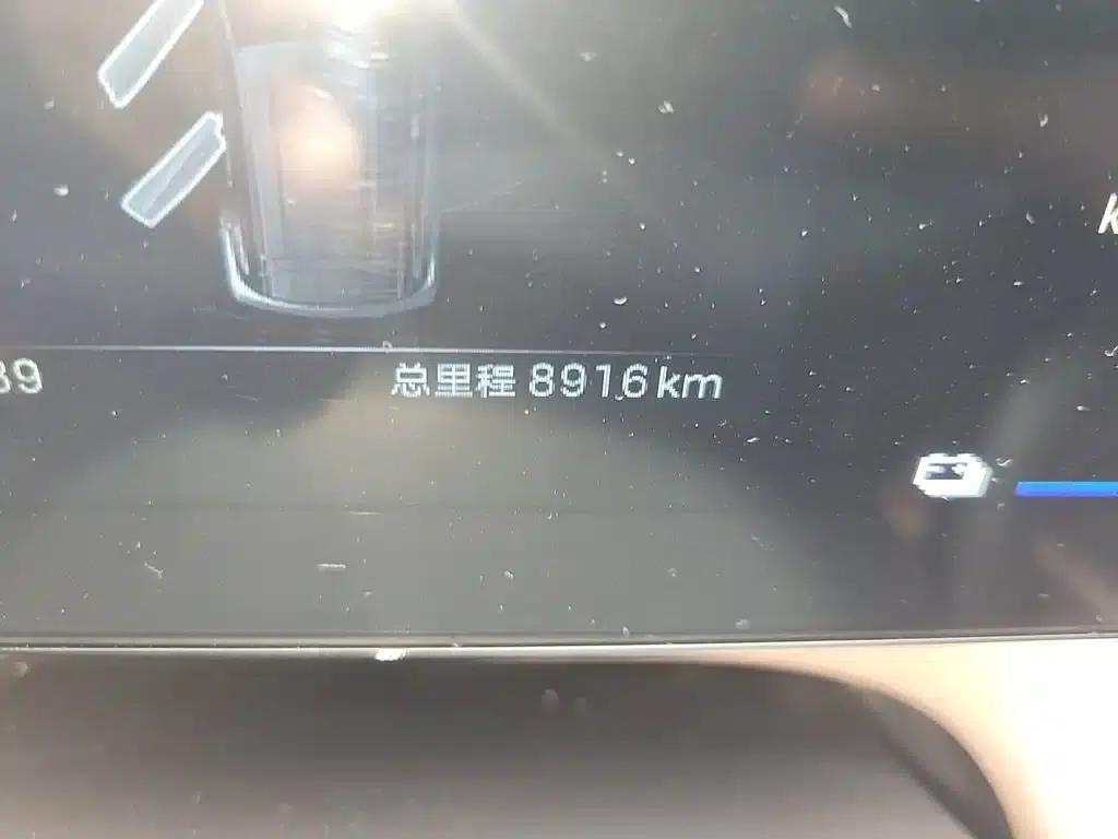 Seagull 2025 305km/h Dynamic Edition — миниатюра 8