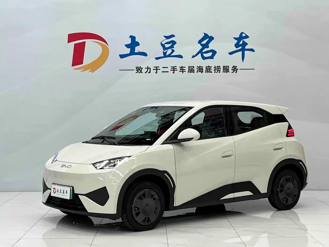 Seagull 2025 Smart Driving Edition 305km Vitality Edition — миниатюра 1