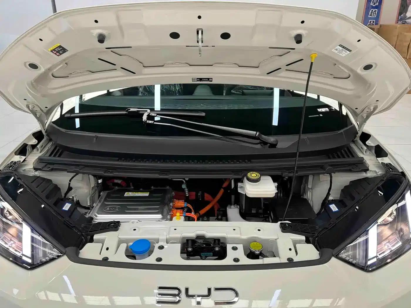 Seagull 2025 Smart Driving Edition 305km Vitality Edition — миниатюра 16