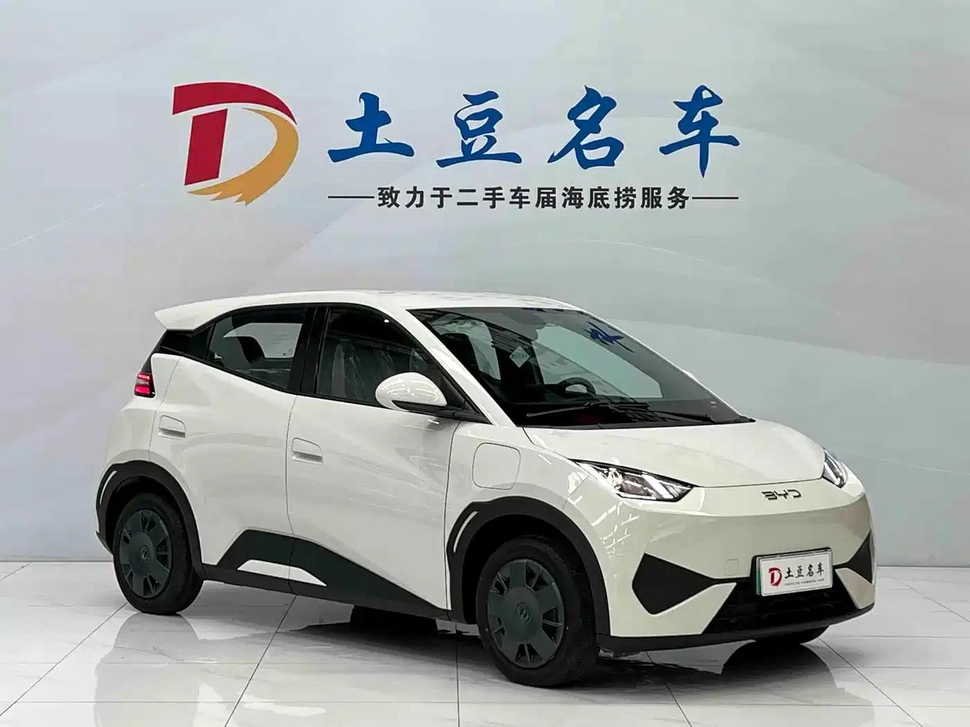 Seagull 2025 Smart Driving Edition 305km Vitality Edition — миниатюра 3