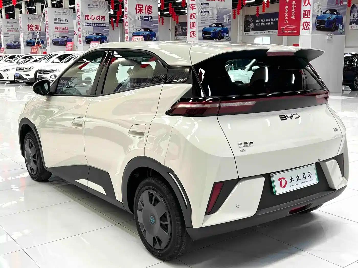 Seagull 2025 Smart Driving Edition 305km Vitality Edition — миниатюра 4