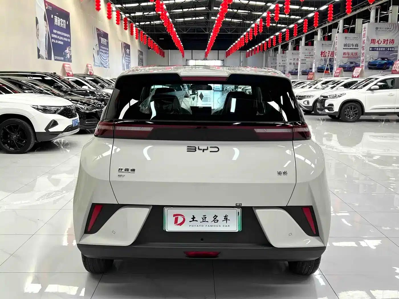 Seagull 2025 Smart Driving Edition 305km Vitality Edition — миниатюра 5