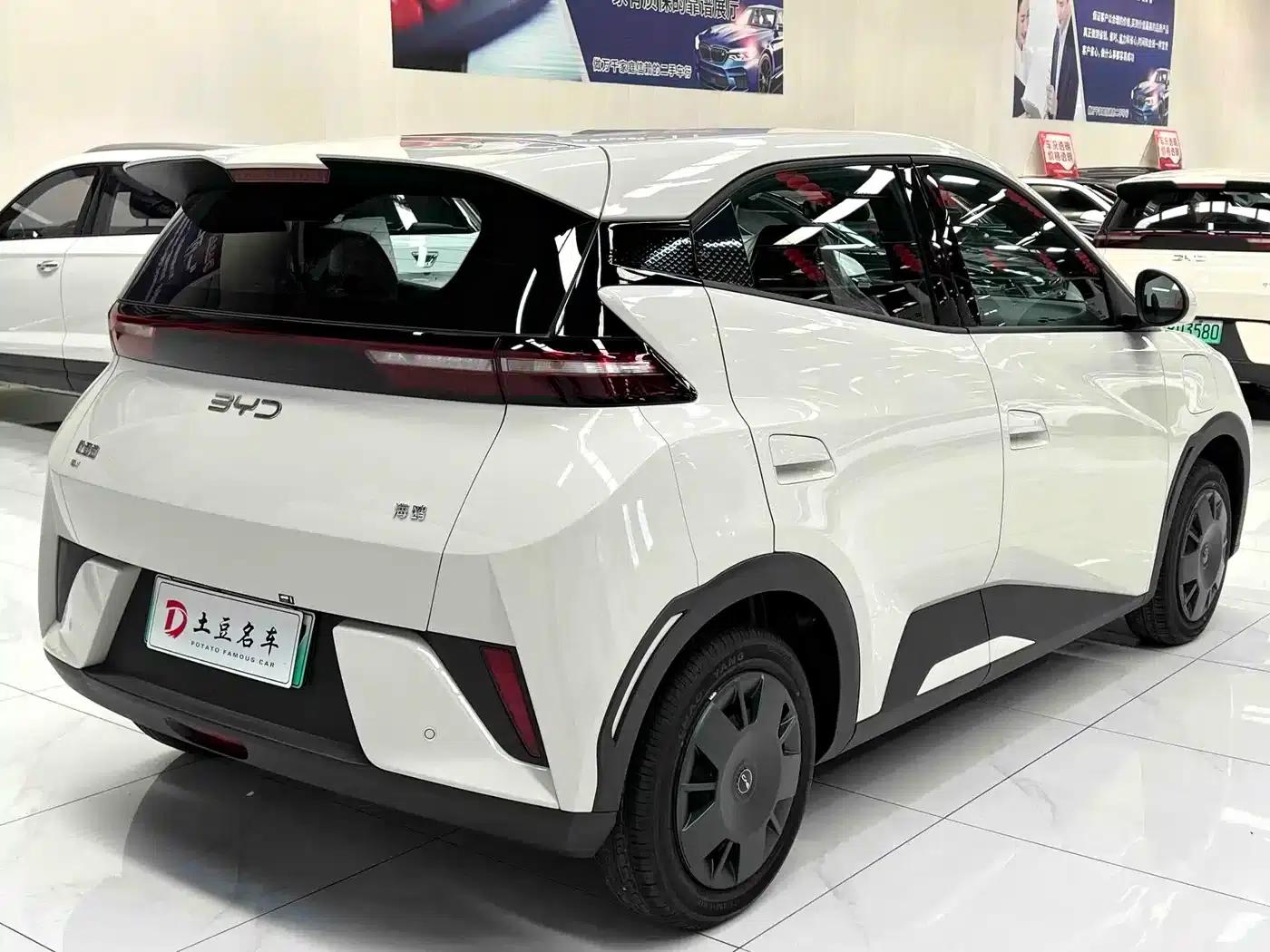 Seagull 2025 Smart Driving Edition 305km Vitality Edition — миниатюра 6
