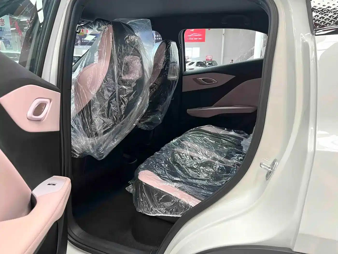 Seagull 2025 Smart Driving Edition 305km Vitality Edition — миниатюра 10