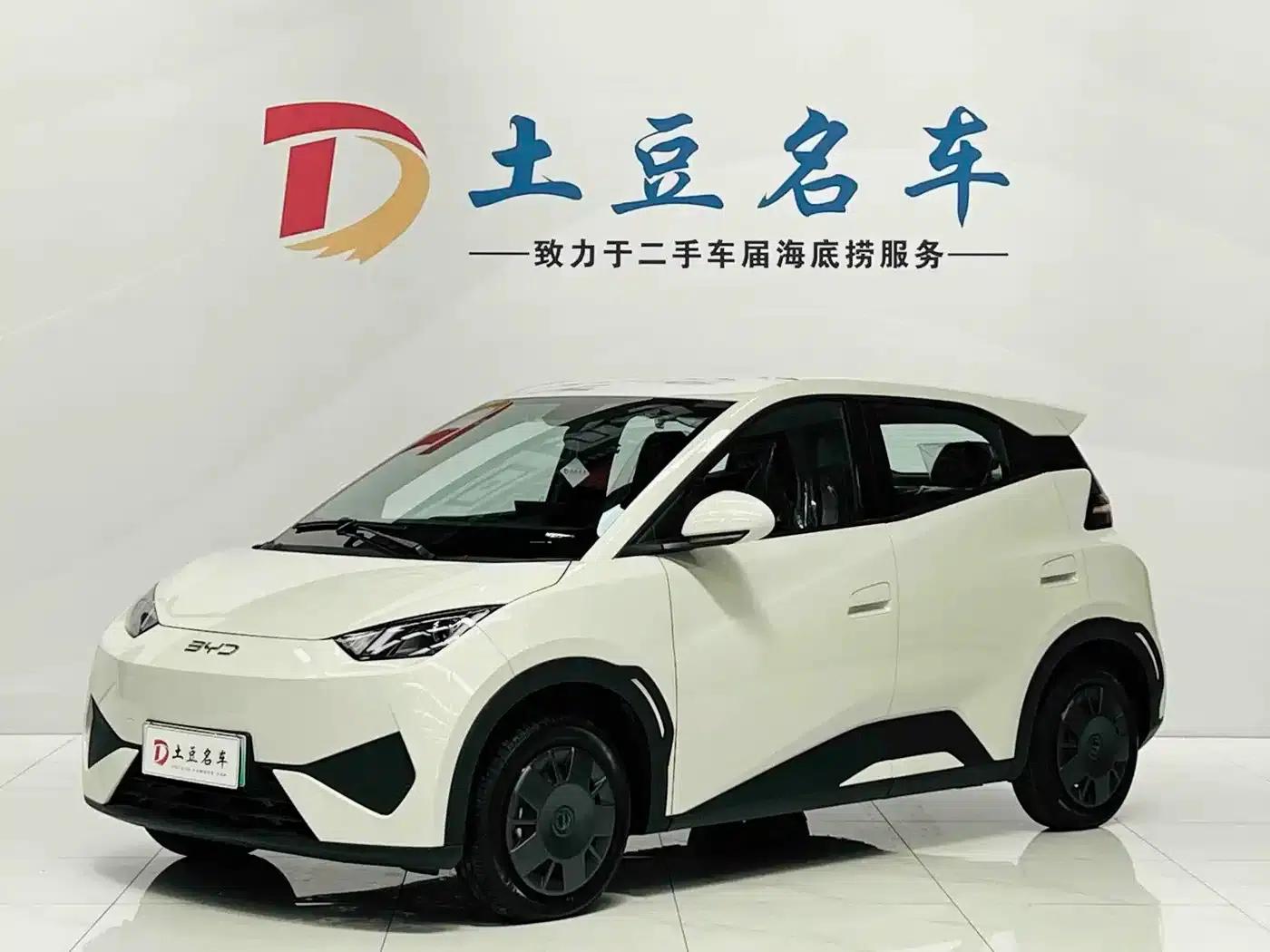 Seagull 2025 Smart Driving Edition 305km Vitality Edition — миниатюра 1