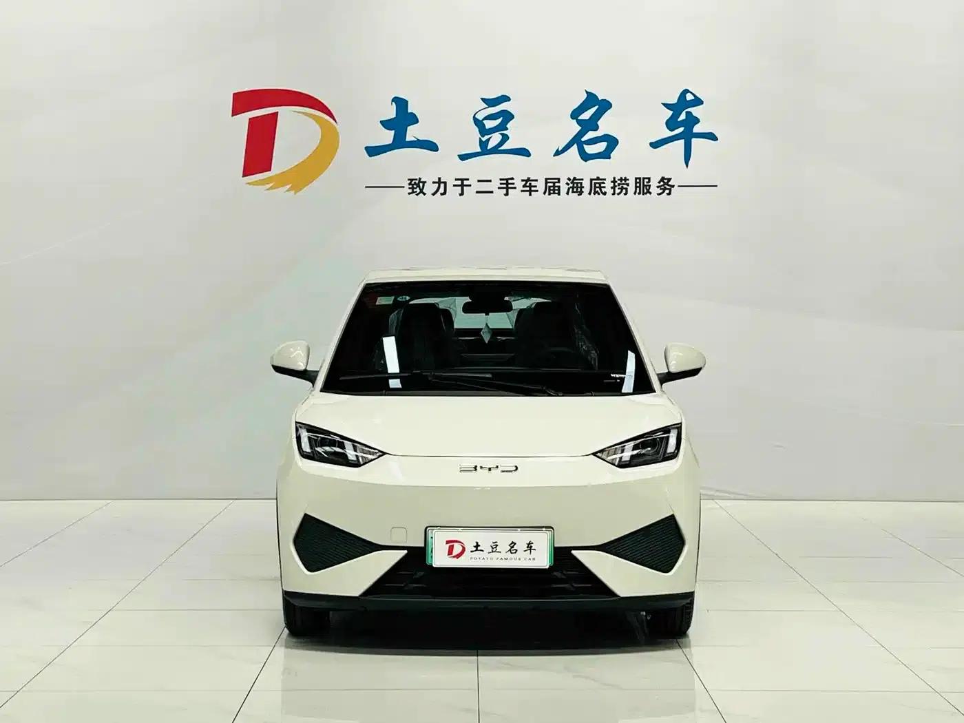 Seagull 2025 Smart Driving Edition 305km Vitality Edition — миниатюра 2