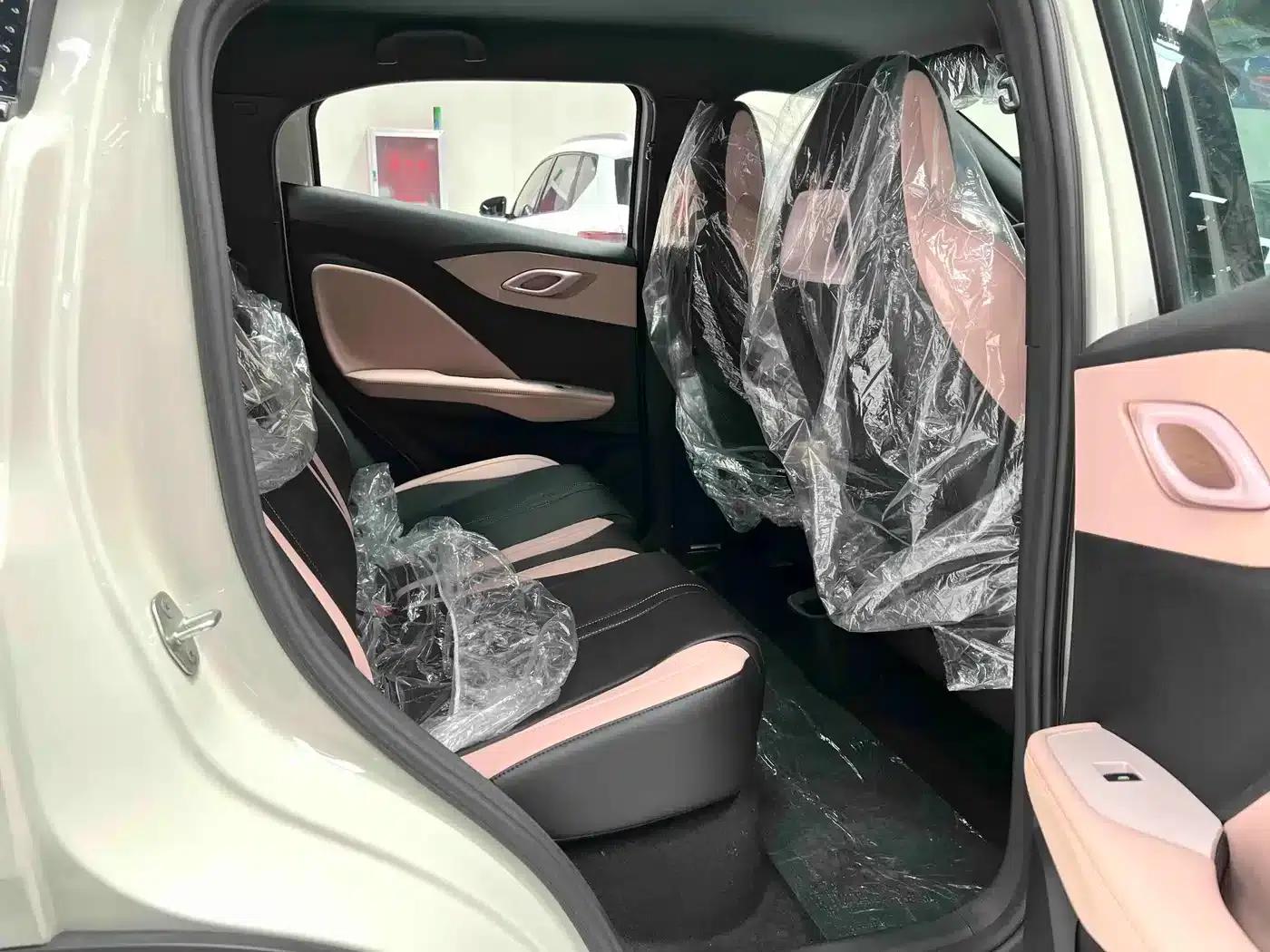 Seagull 2025 Smart Driving Edition 305km Vitality Edition — миниатюра 13