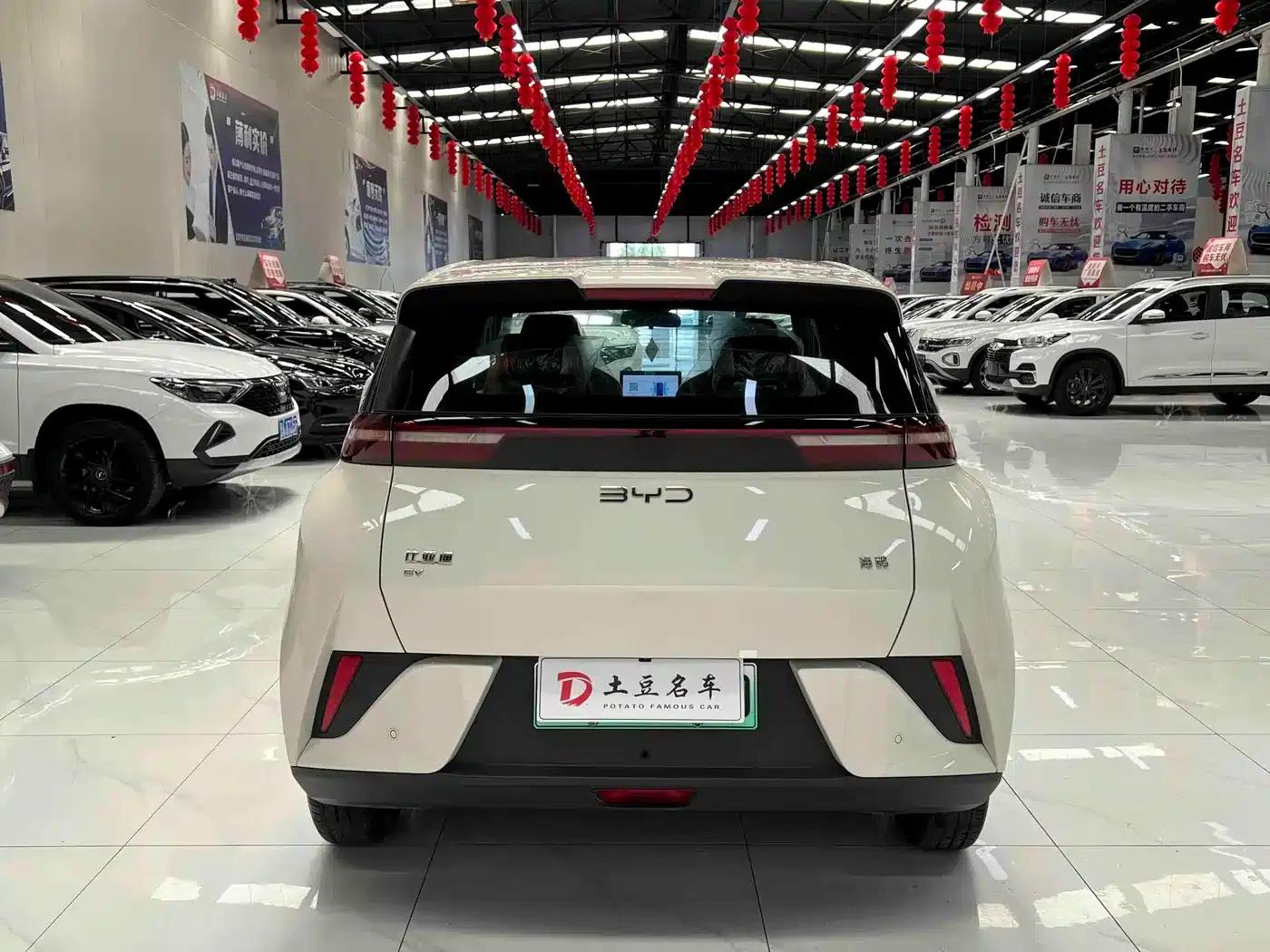 Seagull 2025 Smart Driving Edition 305km Vitality Edition — миниатюра 5
