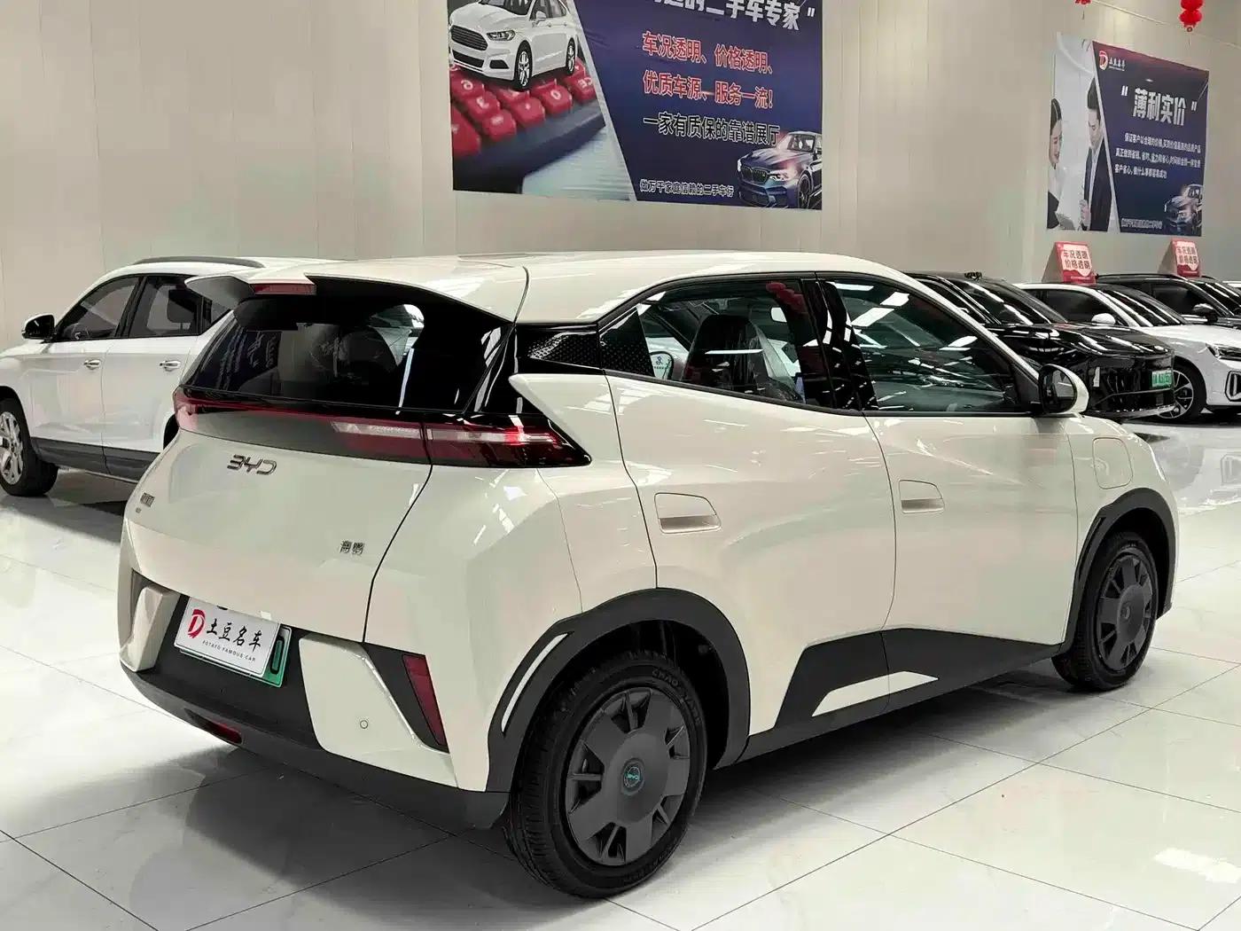 Seagull 2025 Smart Driving Edition 305km Vitality Edition — миниатюра 6
