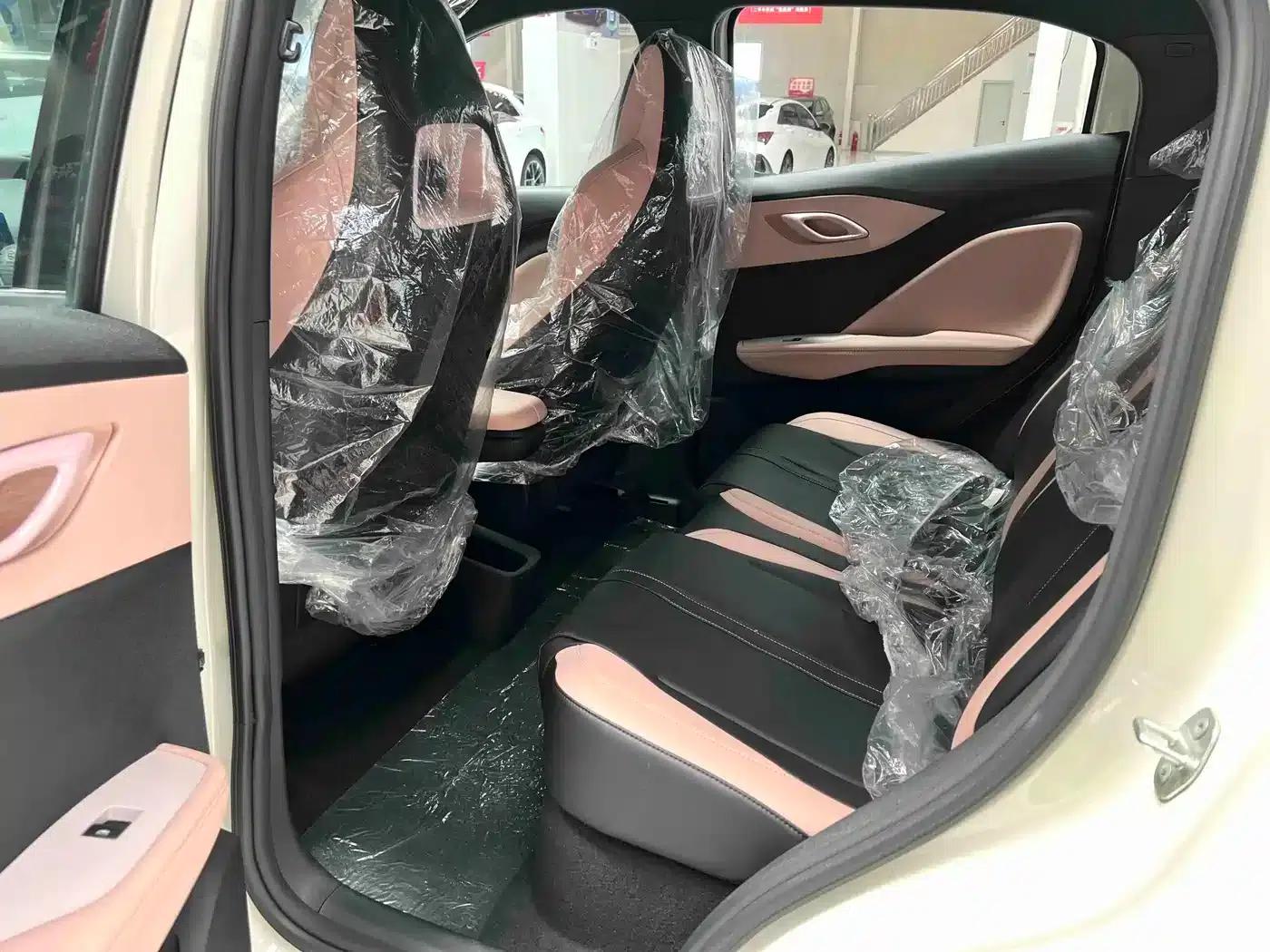Seagull 2025 Smart Driving Edition 305km Vitality Edition — миниатюра 10