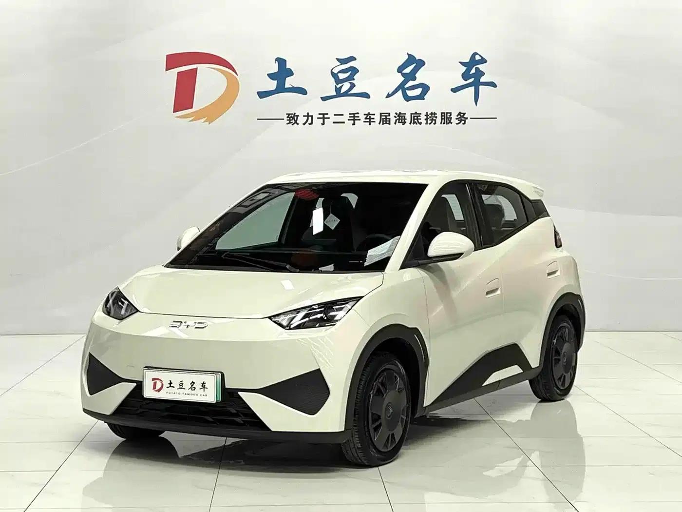 Seagull 2025 Smart Driving Edition 305km Vitality Edition — миниатюра 1