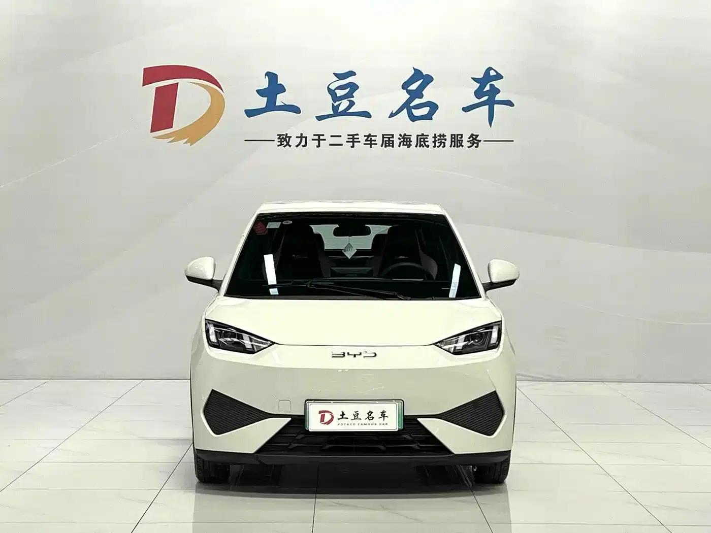 Seagull 2025 Smart Driving Edition 305km Vitality Edition — миниатюра 2