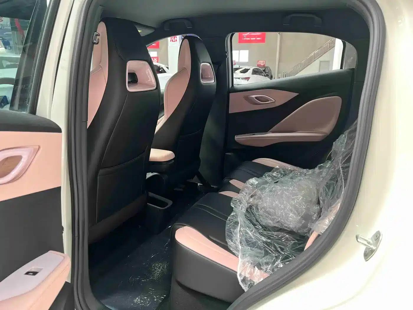 Seagull 2025 Smart Driving Edition 305km Vitality Edition — миниатюра 13