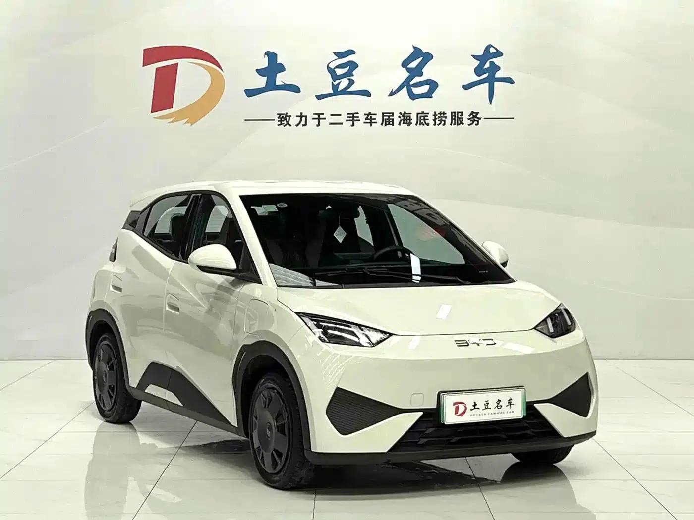 Seagull 2025 Smart Driving Edition 305km Vitality Edition — миниатюра 3
