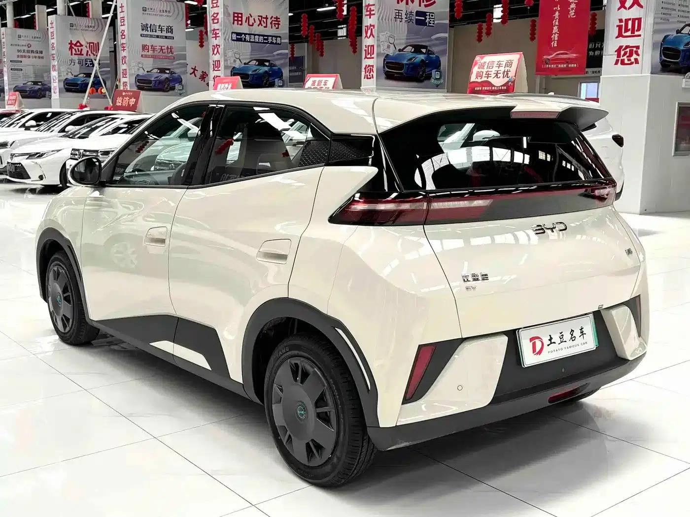 Seagull 2025 Smart Driving Edition 305km Vitality Edition — миниатюра 4
