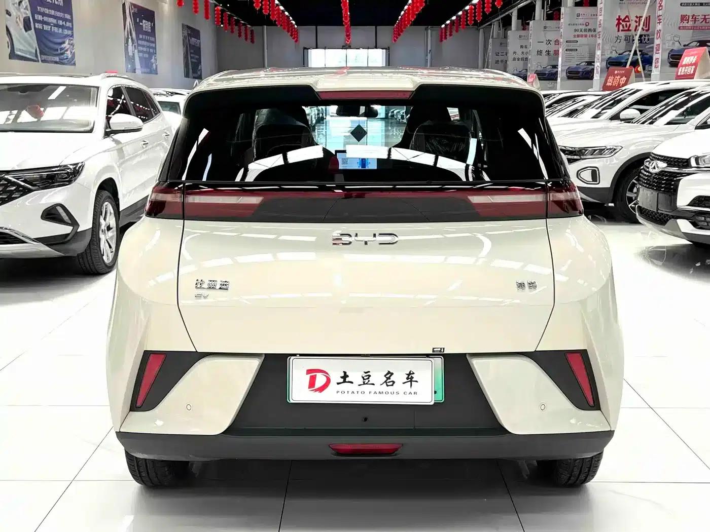 Seagull 2025 Smart Driving Edition 305km Vitality Edition — миниатюра 5