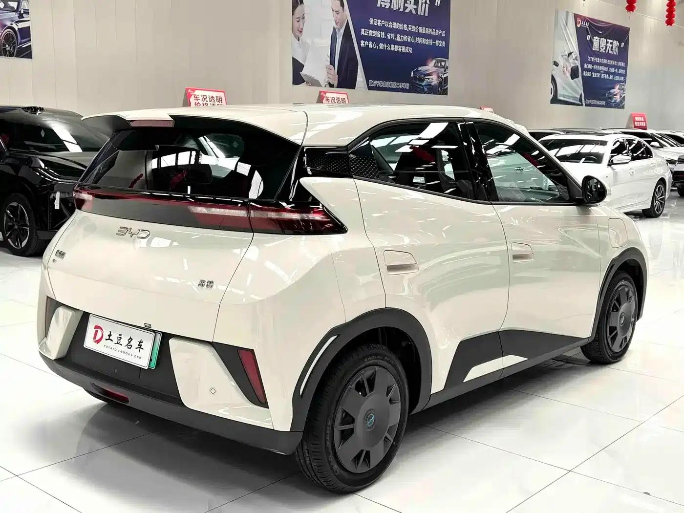 Seagull 2025 Smart Driving Edition 305km Vitality Edition — миниатюра 6