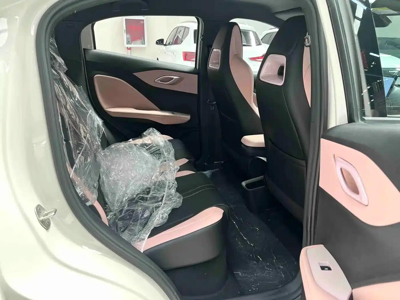Seagull 2025 Smart Driving Edition 305km Vitality Edition — миниатюра 10