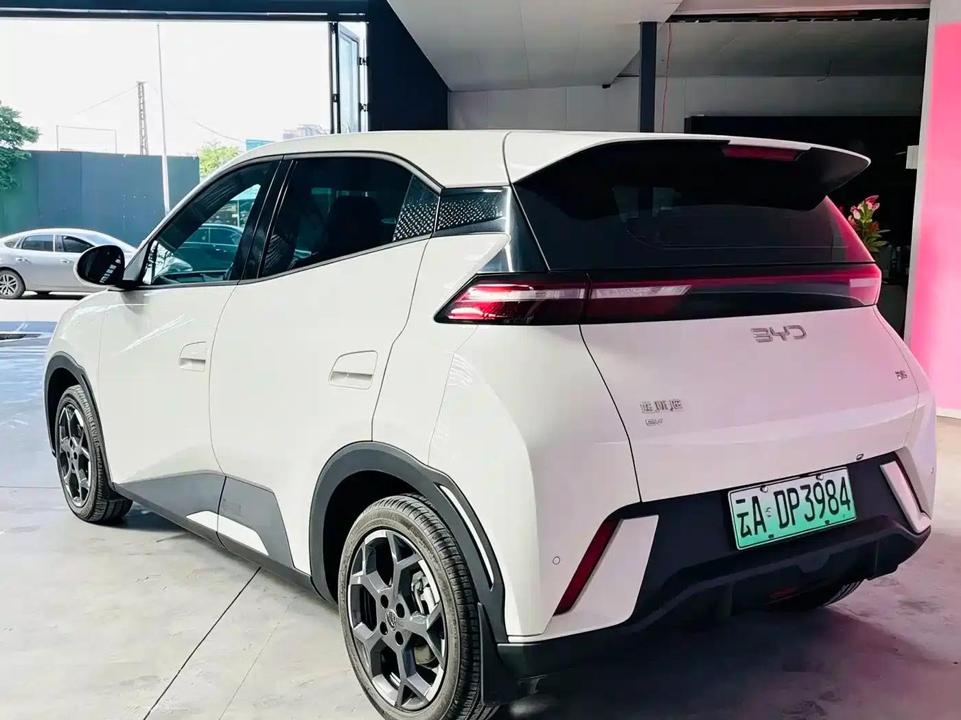 Seagull 2023 Freedom Edition — миниатюра 16