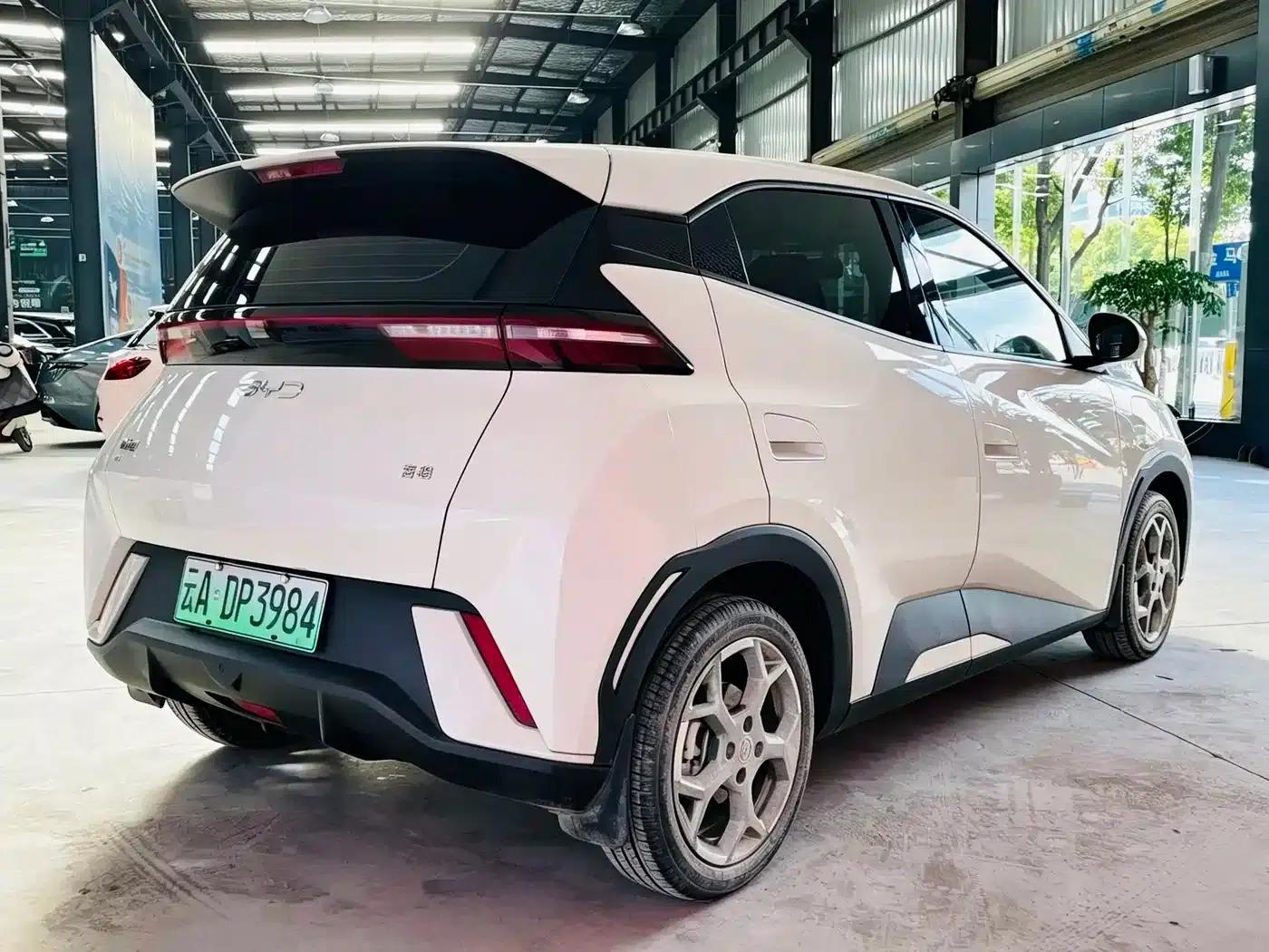 Seagull 2023 Freedom Edition — миниатюра 18