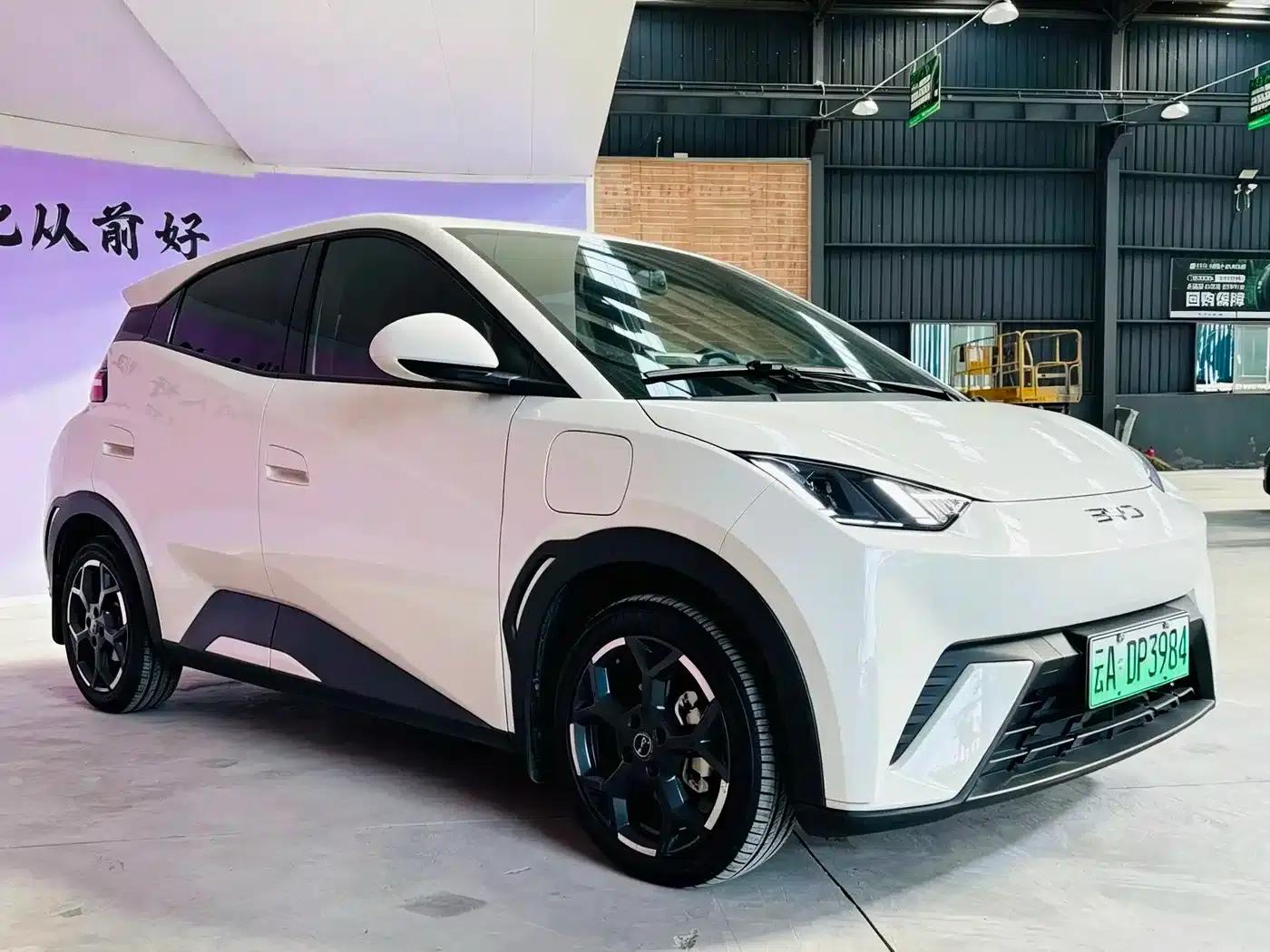 Seagull 2023 Freedom Edition — миниатюра 3