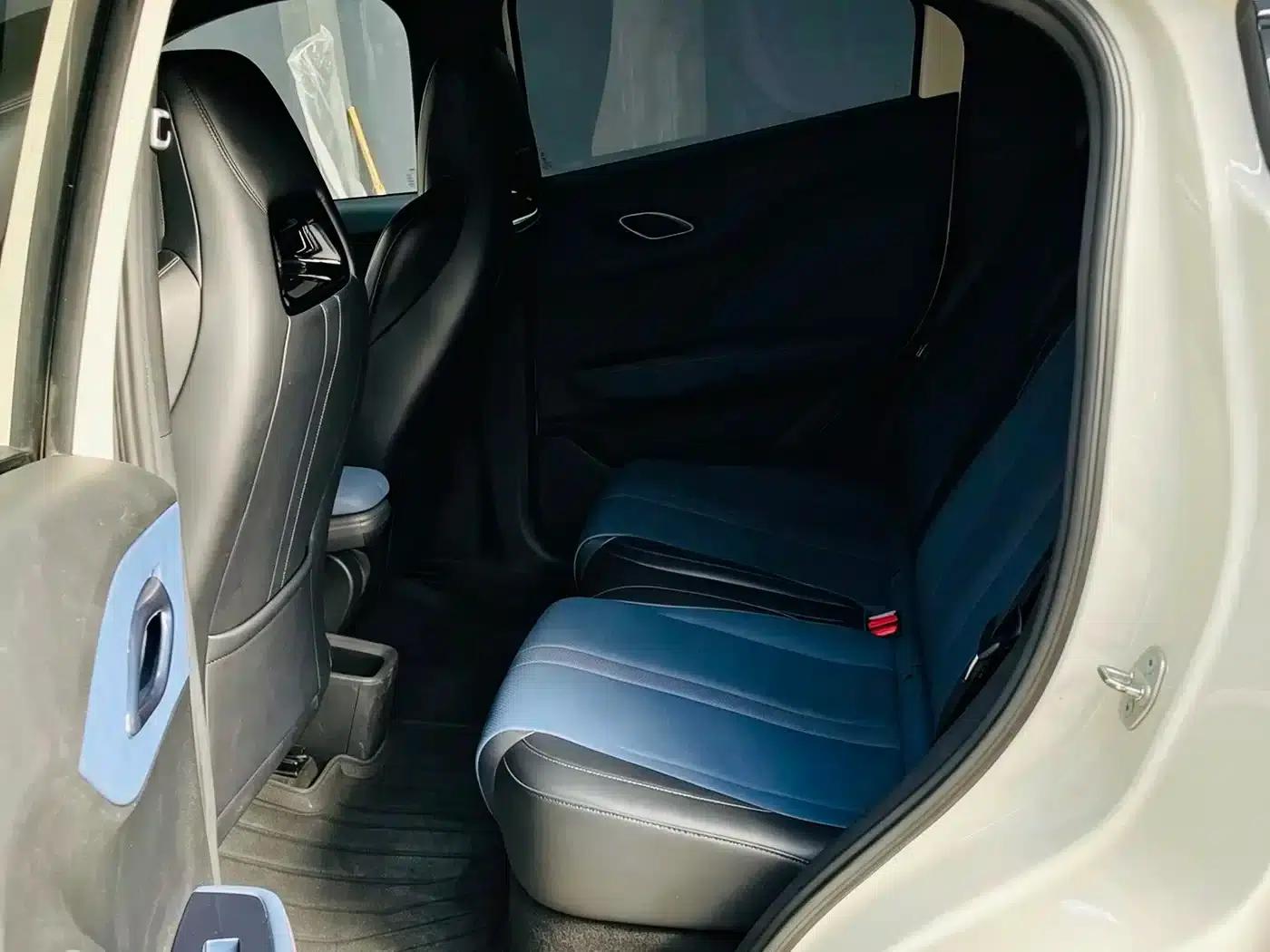 Seagull 2023 Freedom Edition — миниатюра 5