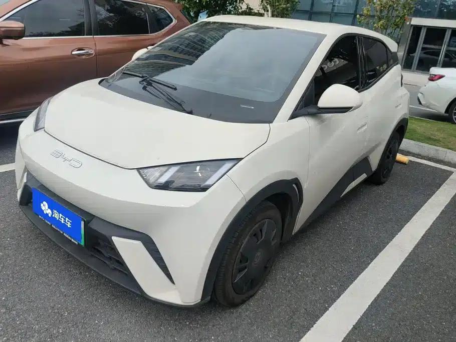 Seagull 2023 Vitality Edition — миниатюра 1