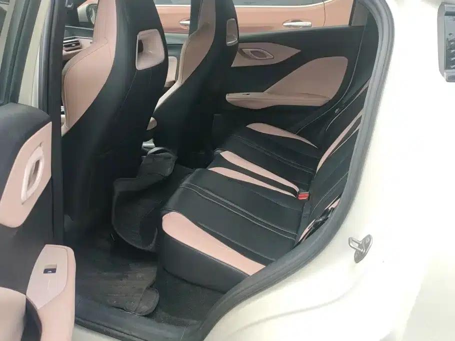 Seagull 2023 Vitality Edition — миниатюра 11