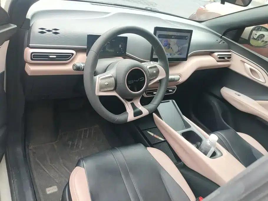 Seagull 2023 Vitality Edition — миниатюра 12