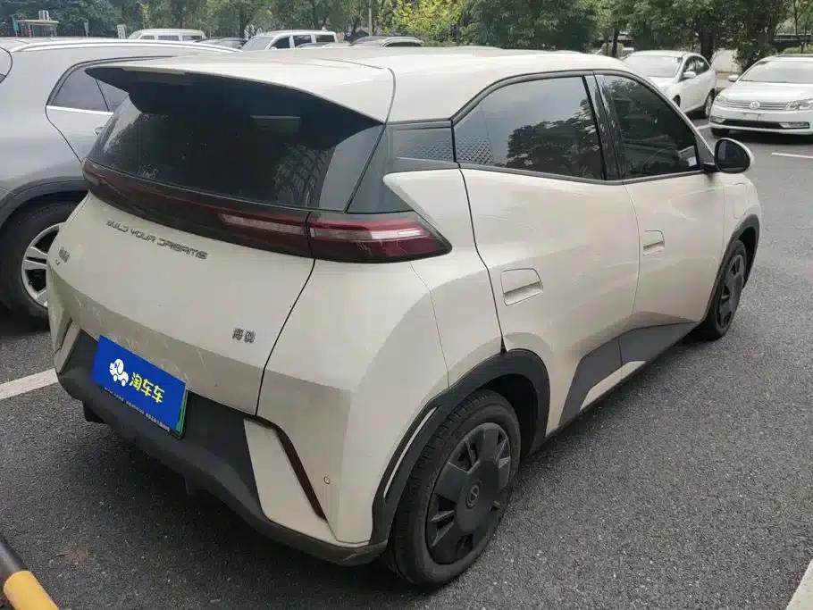 Seagull 2023 Vitality Edition — миниатюра 3