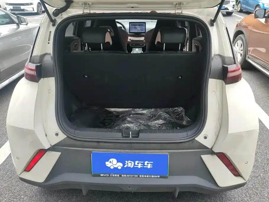 Seagull 2023 Vitality Edition — миниатюра 4