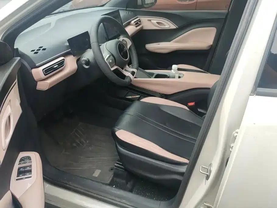 Seagull 2023 Vitality Edition — миниатюра 9