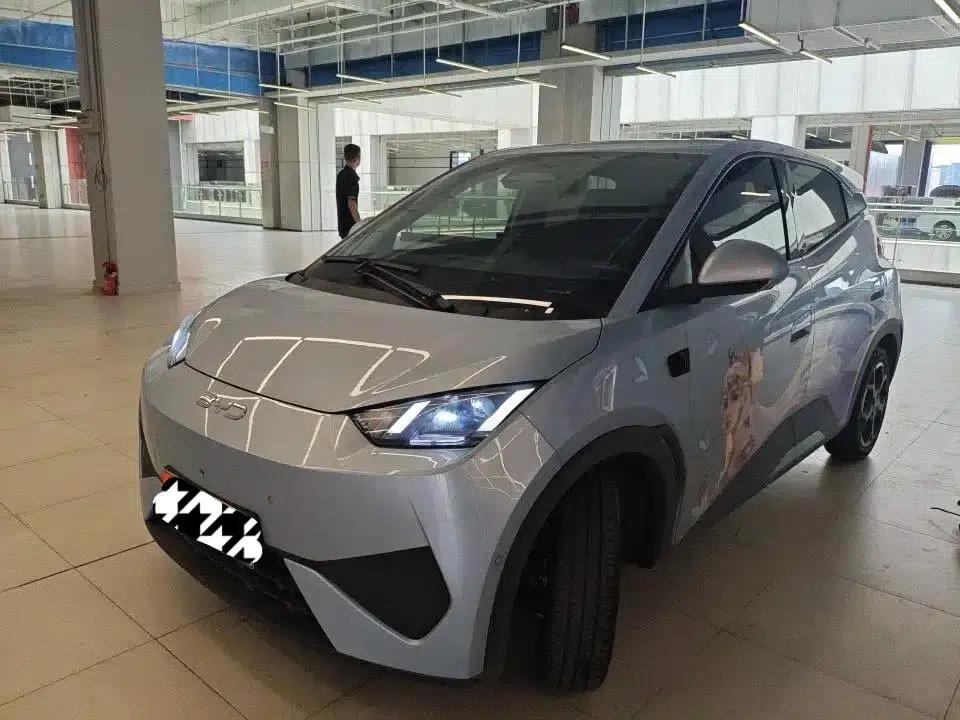 Seagull 2025 Smart Driving Edition 305km Freedom Edition — миниатюра 1