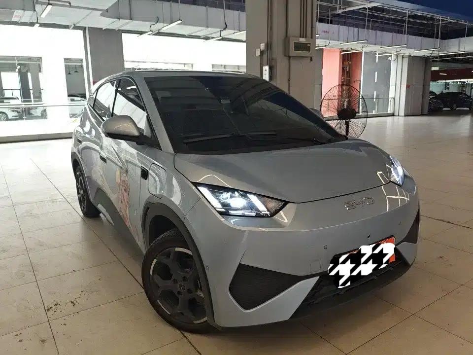 Seagull 2025 Smart Driving Edition 305km Freedom Edition — миниатюра 2