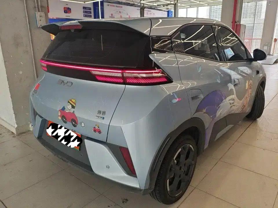 Seagull 2025 Smart Driving Edition 305km Freedom Edition — миниатюра 7
