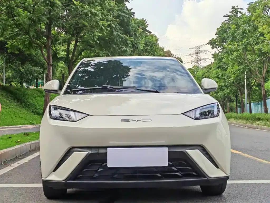 Seagull 2023 Freedom Edition — миниатюра 2