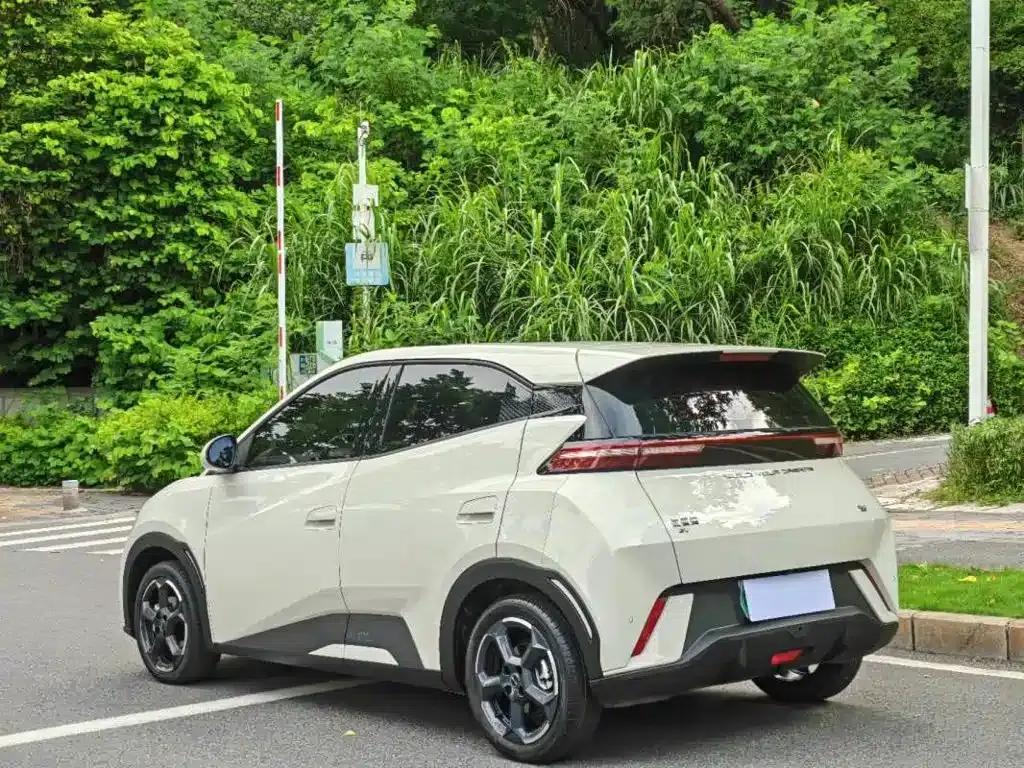 Seagull 2023 Freedom Edition — миниатюра 3